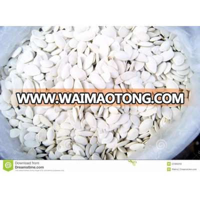 White Melon Watermelon Seeds