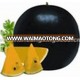 Black Pearl black skin yellow flesh watermelon seeds